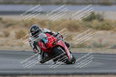 media/Jan-15-2023-SoCal Trackdays (Sun) [[c1237a034a]]/Turn 16 (120pm)/